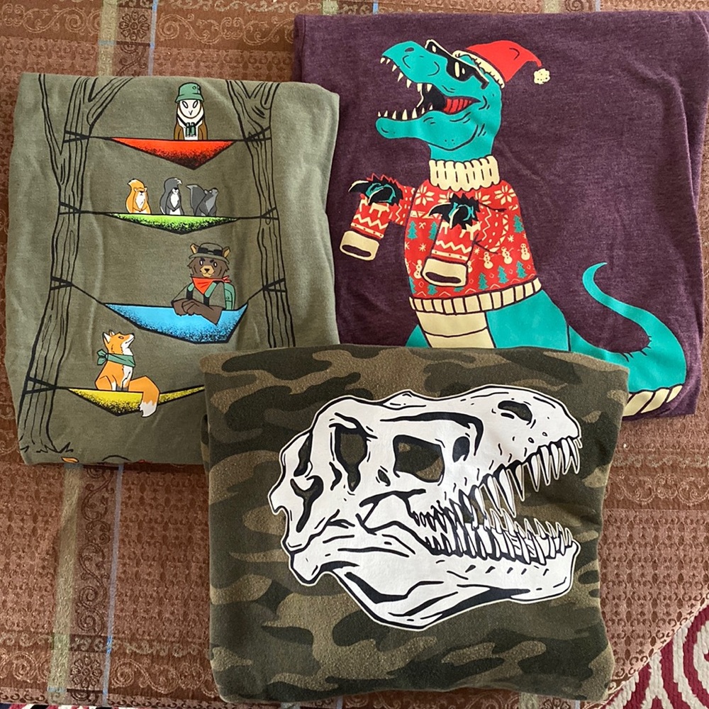 2 long sleeve t-shirts, 1 sweatshirt bundle